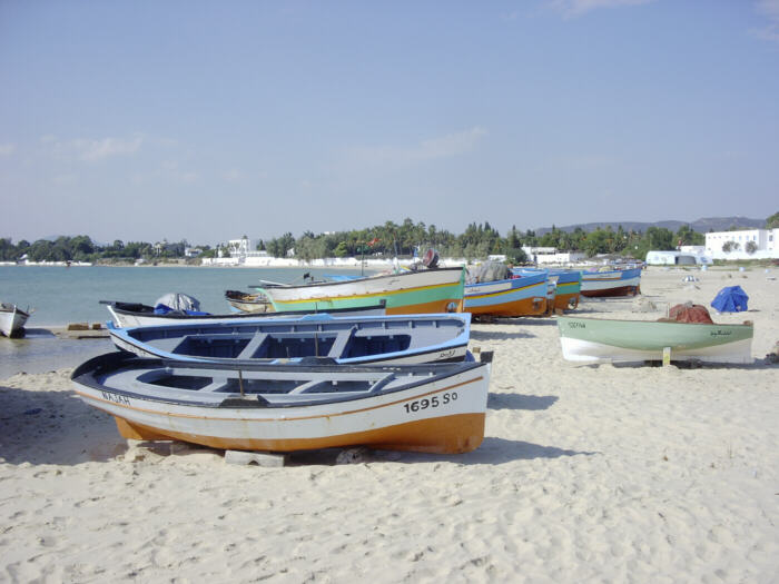 pointus photographiés sur la plage d'Hammamet en Tunisie