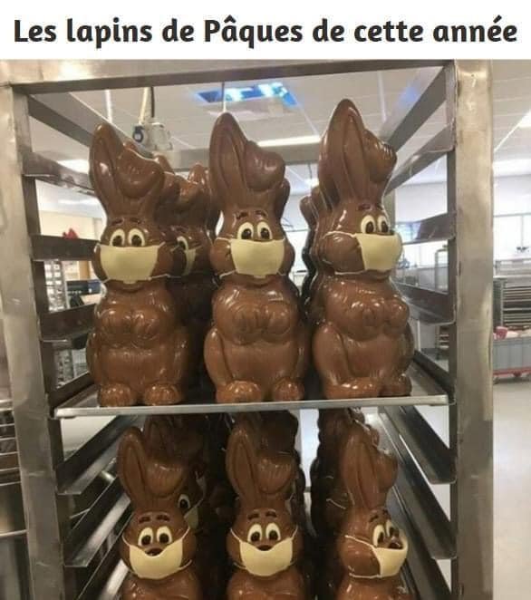 lapins de paques.jpg