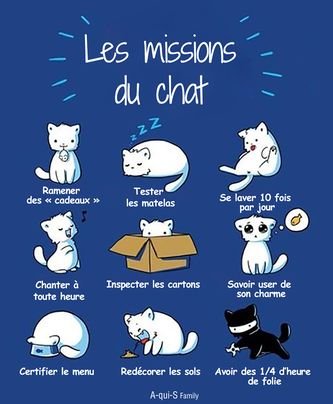 missions-du-chat.jpg